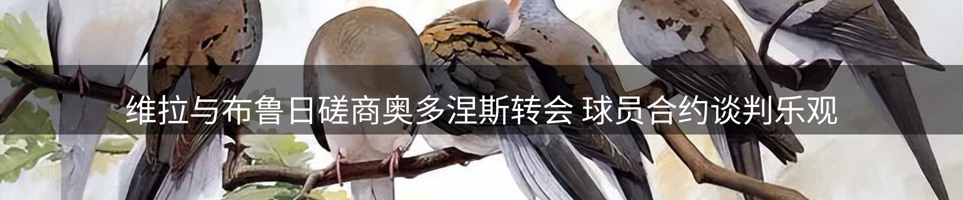 最新动态